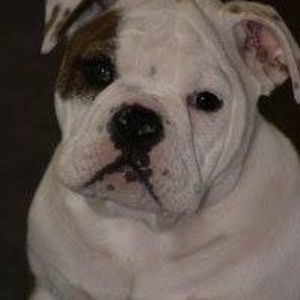 Meet your Posher, Shane